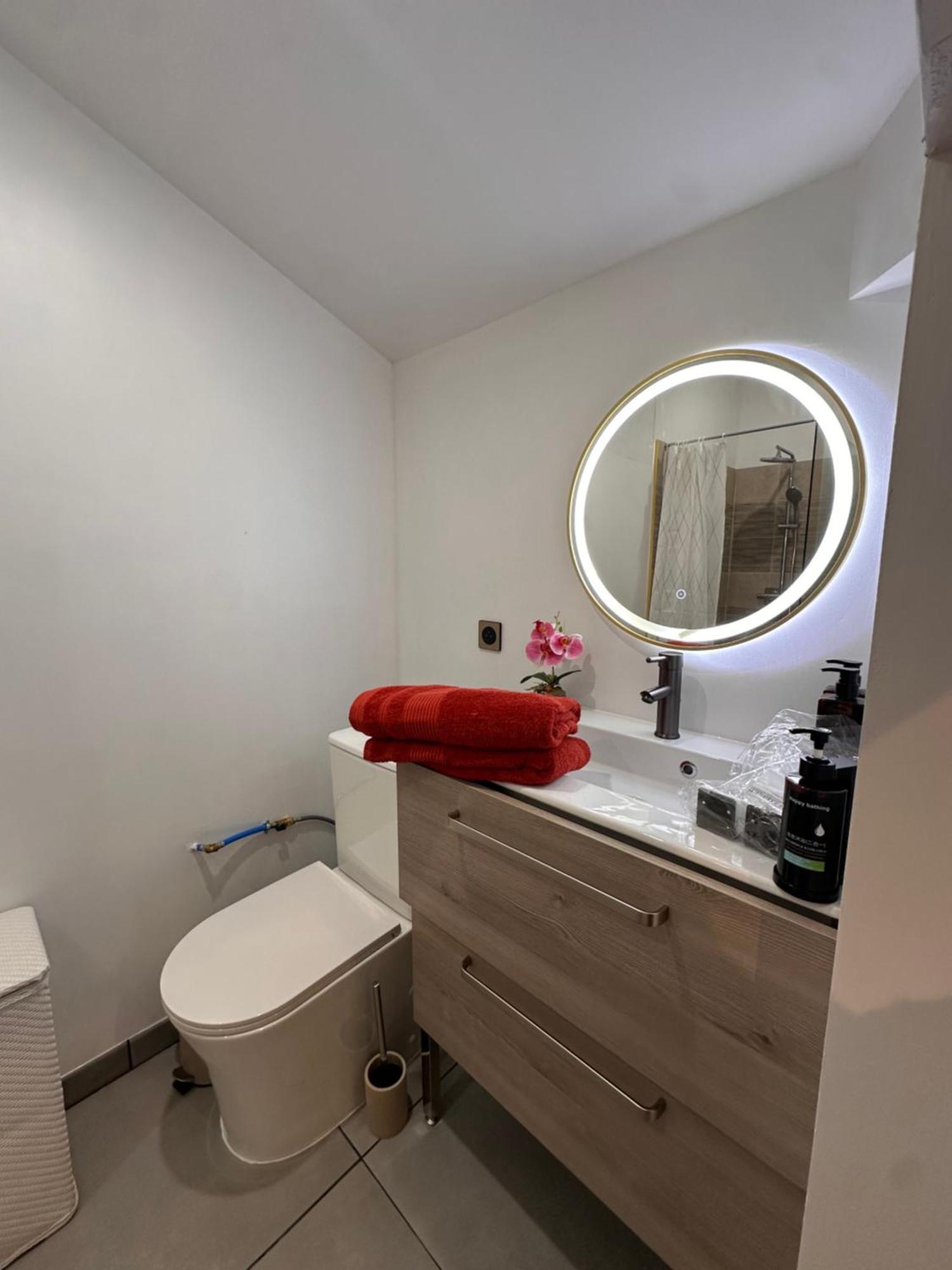 Les Appartements Du Palais Carcassonne Exteriér fotografie